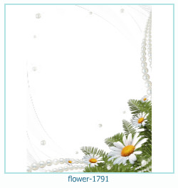 fiore cornice 1791