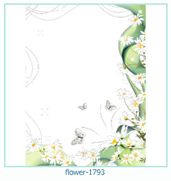 fiore cornice 1793