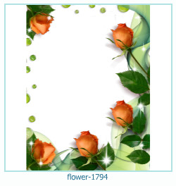 fiore cornice 1794