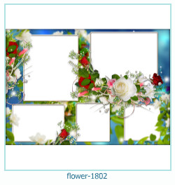cornice per foto di fiori 1802