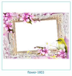 fiore cornice 1803
