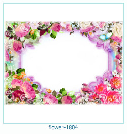 fiore cornice 1804