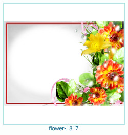 fiore cornice 1817