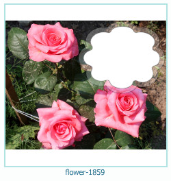 fiore cornice 1859