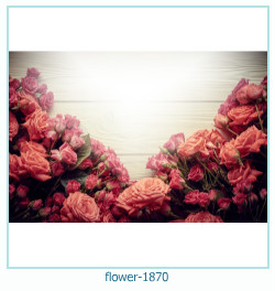 fiore cornice 1870