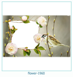 fiore cornice 1960