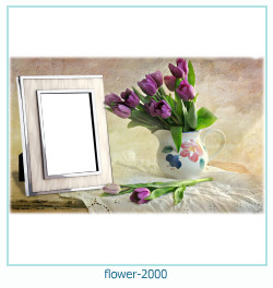 fiore Cornice 2000