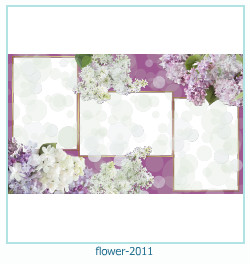 flower Photo frame 2011