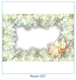 fiore cornice 207