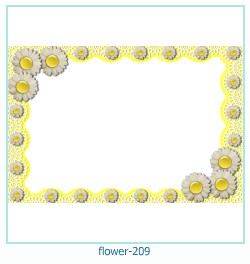fiore cornice 209