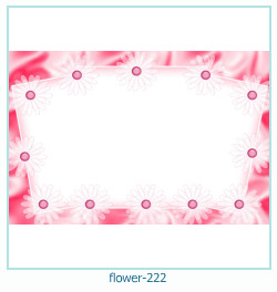 fiore cornice 222