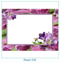 fiore cornice 239