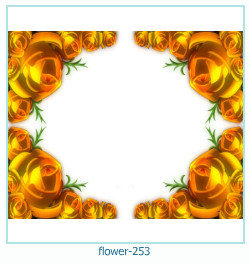 fiore cornice 253