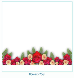 fiore cornice 259