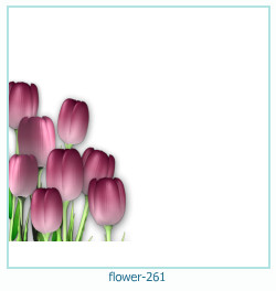 fiore cornice 261