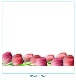 fiore cornice 262