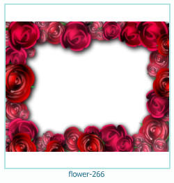 fiore cornice 266