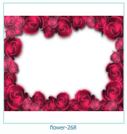fiore cornice 268