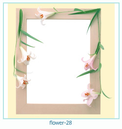 fiore cornice 28