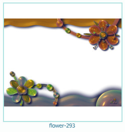fiore cornice 293