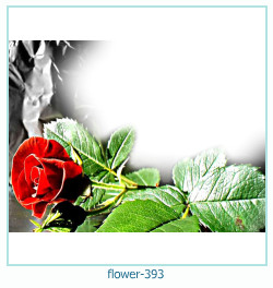 cornice per foto fiore 393