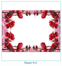 fiore cornice 411