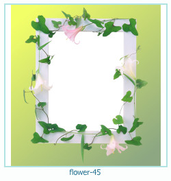 fiore cornice 45