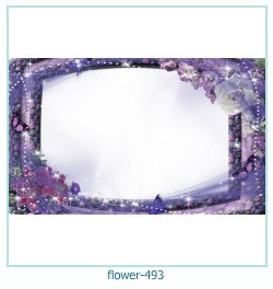 fiore cornice 493