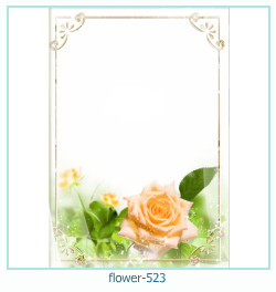 fiore cornice 523