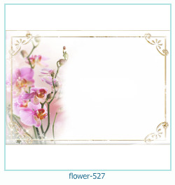 fiore cornice per foto 527