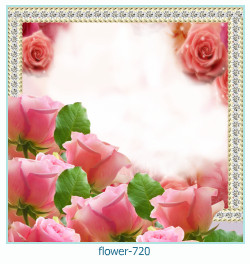 fiore Cornice 720