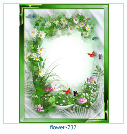 fiore Cornice 732