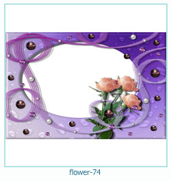 fiore cornice 74