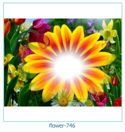 fiore Cornice 746