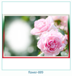 fiore Cornice 889