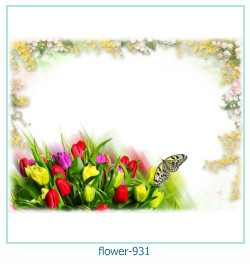 fiore cornice 931